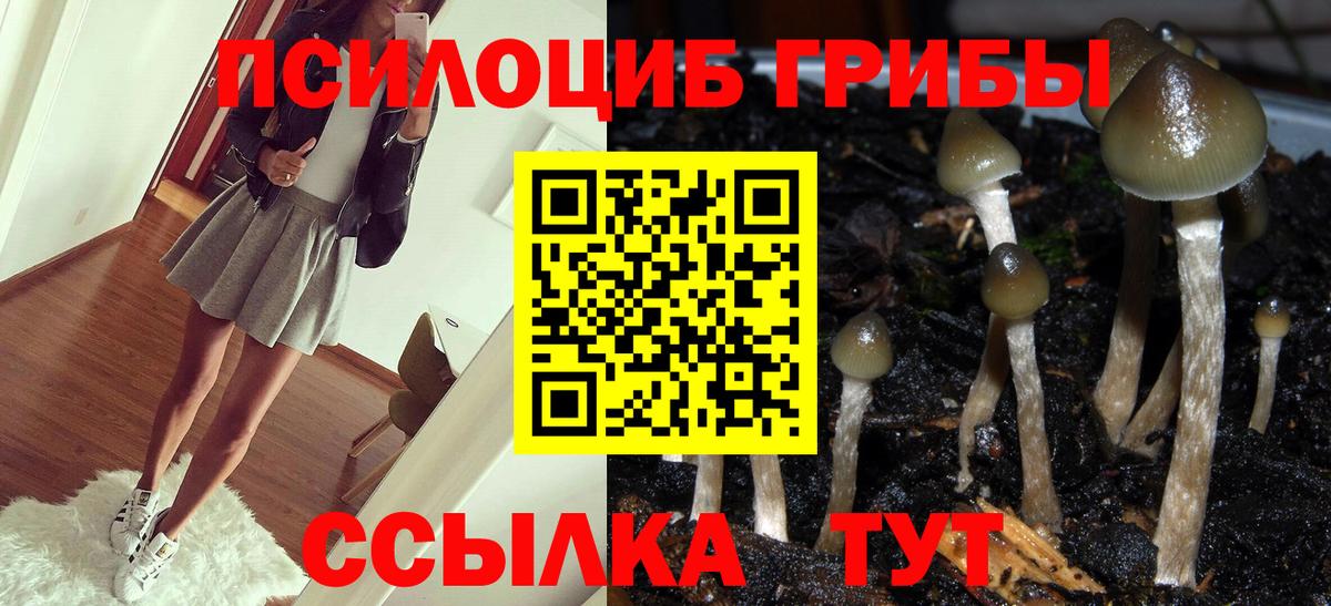 Псилоцибиновые грибы Cubensis  Салават 