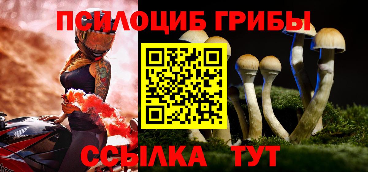 Псилоцибиновые грибы MAGIC MUSHROOMS  Галлюциногенные грибы Psilocybine cubensis  Салават  Вход с VPN 